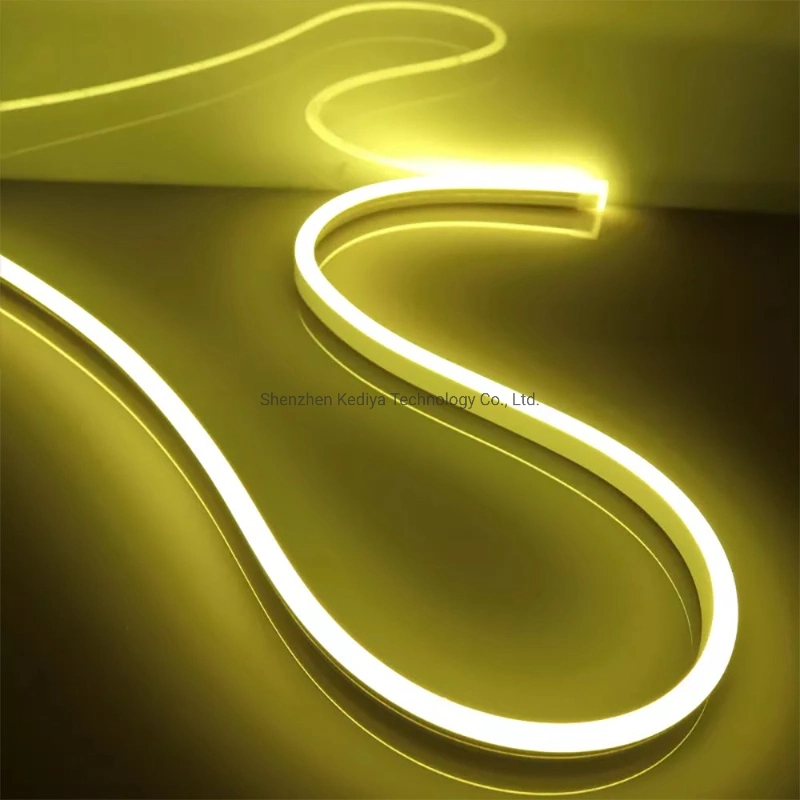 Custom IP65 Waterproof Silicone Flex Neon LED Rope Lights Color Warm White LED Neon Light Strip for LED Decoration