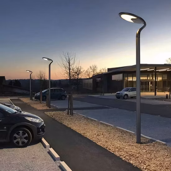 IP65 30W 50W 60W 80W 설치가 용이한 방수 에너지 절약 알루미늄 야외 LED 태양 에너지 거리 정원 램프(패널 및 리튬 배터리 포함)