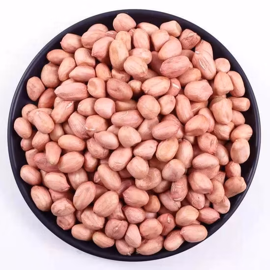 새로운 도착 바디 클로저 모션 센서 벽 마운트 LED 전면 거울 측면 조명 중국 공급 업체