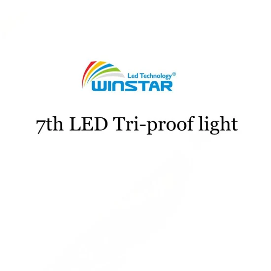 IP65 방수 LED Tri-Proof 야외 선형 조명 LED 조명